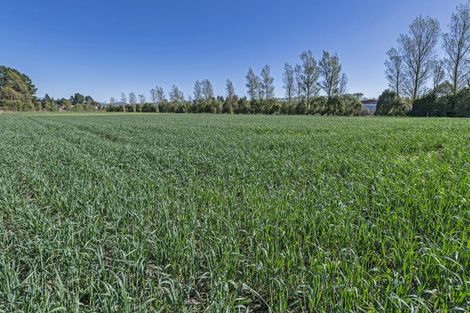 Photo of property in 1436 Saunders Road, Hororata, Darfield, 7572