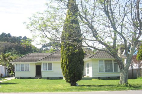 Photo of property in 213 Whitaker Street, Whataupoko, Gisborne, 4010
