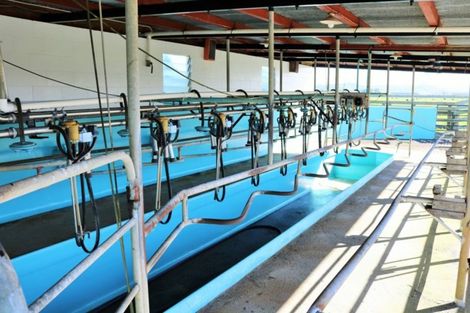 Photo of property in 141 Awakino Road, Dargaville, 0310