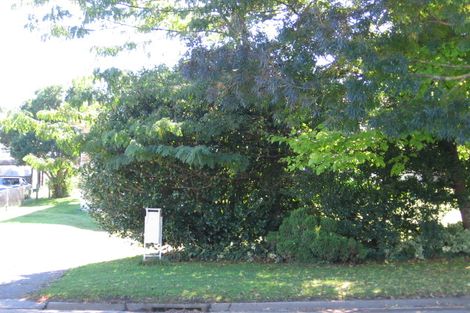 Photo of property in 125 Arapuni Street, Putaruru, 3411