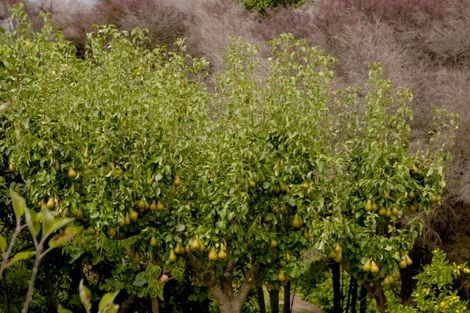 Photo of property in 3 Korepo Road, Ruby Bay, Upper Moutere, 7173