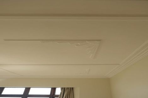 Photo of property in 6 Kilgour Street, Roslyn, Dunedin, 9010