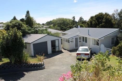 Photo of property in 43 Gorge Road, Maungaturoto, 0520