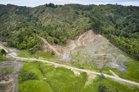 Photo of property in 12 Jane Mander Rise, Blue Mountains, 5371