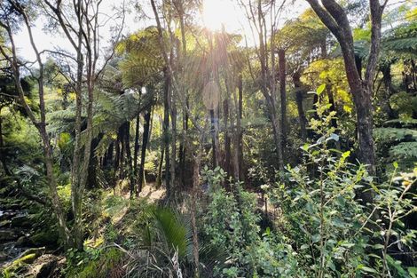 Photo of property in 600 Buffalo Road, Coromandel, 3506