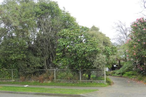 Photo of property in 139 Weraroa Road, Levin, 5510