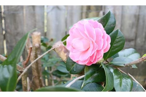 Photo of property in 38b Second Avenue, Avenues, Whangarei, 0110