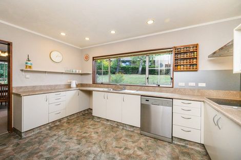 Photo of property in 9 Rangeview Place, Feilding, 4702