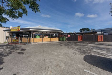 Photo of property in 13 Central Park Drive, Te Atatu South, Auckland, 0610