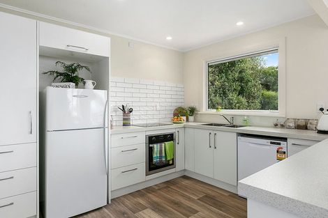 Photo of property in 33 Erin Street, Roslyn, Dunedin, 9010