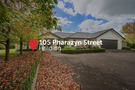Photo of property in 105 Pharazyn Street, Feilding, 4702