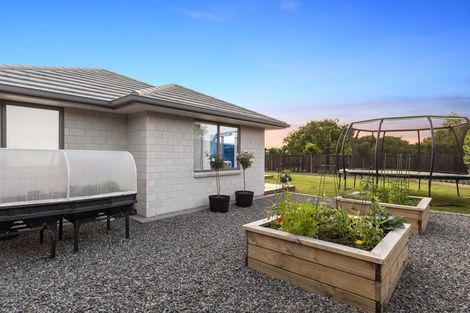 Photo of property in 10 Kayelene Place, Omokoroa, 3114