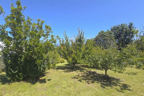 Photo of property in 3 Hall Head Road, Kawau Island, 0920