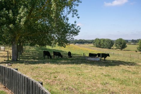 Photo of property in 87 Te Hoe Road, Orini, Taupiri, 3792