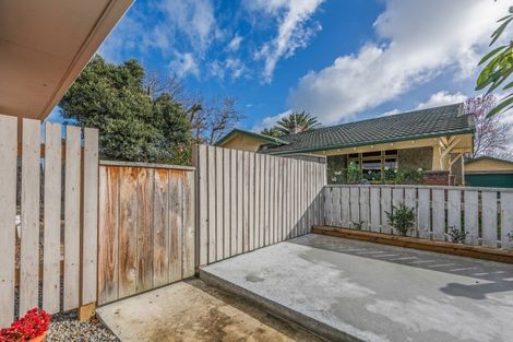 Photo of property in 111 College Street, Awapuni, Palmerston North, 4412