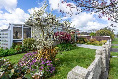 Photo of property in 1 Clark Street, Levin, 5510