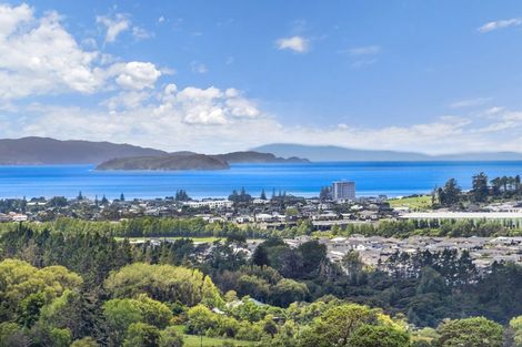 Photo of property in 202 Kahikatea Flat Road, Dairy Flat, Albany, 0794