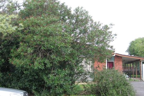 Photo of property in 9 Ti Nana Crescent, Henderson, Auckland, 0610