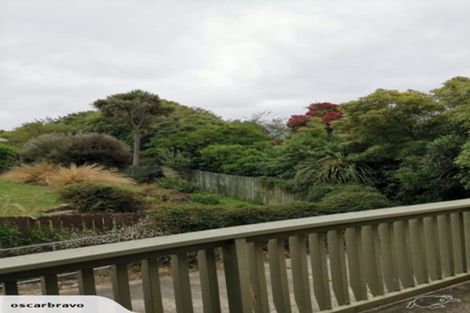 Photo of property in 191 Evans Street, Opoho, Dunedin, 9010