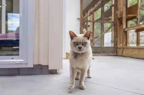 Photo of property in 222 Main Road South, Raumati South, Paraparaumu, 5032