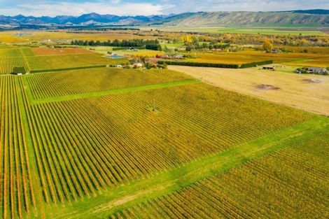 Photo of property in 96 Shandon Road, Waihopai Valley, 7276