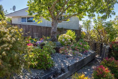 Photo of property in 11 Konini Street, Lansdowne, Masterton, 5810