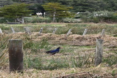 Photo of property in 44 Shoebridge Crescent, Ngunguru, Whangarei, 0173