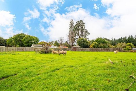 Photo of property in 54 Nottingham Street, Hampden, 9410