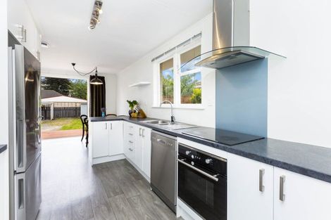 Photo of property in 16a Maher Street, Elderslea, Upper Hutt, 5018