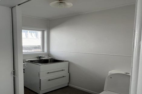 Photo of property in 25 Kaikoura Street, Henderson, Auckland, 0612