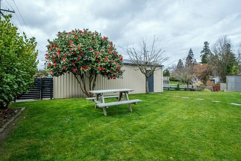 Photo of property in 5 Lewis Street, Geraldine, 7930