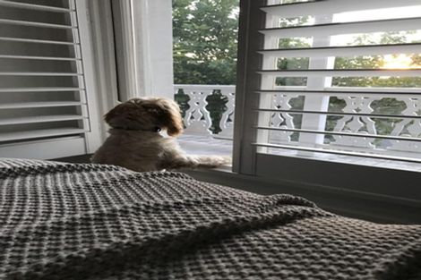 Photo of property in 2/207 Ponsonby Road, Ponsonby, Auckland, 1011