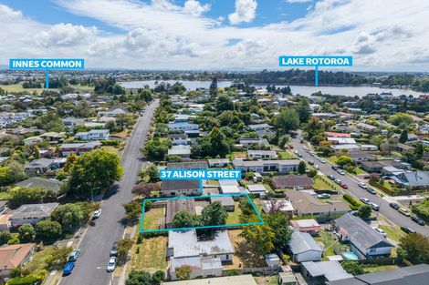 Photo of property in 37 Alison Street, Hamilton Lake, Hamilton, 3204