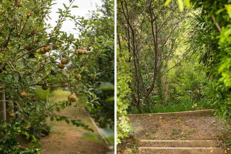 Photo of property in 137a Wainui Road South, Whakamarama, Katikati, 3181