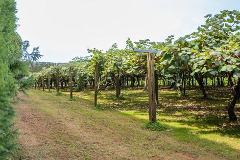 Photo of property in 116 Tuapiro Road, Tahawai, Katikati, 3170