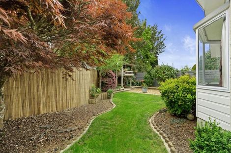 Photo of property in 5b Longwood Lane, Otumoetai, Tauranga, 3110