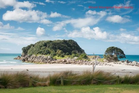 Photo of property in 17a Matai Street, Mount Maunganui, 3116