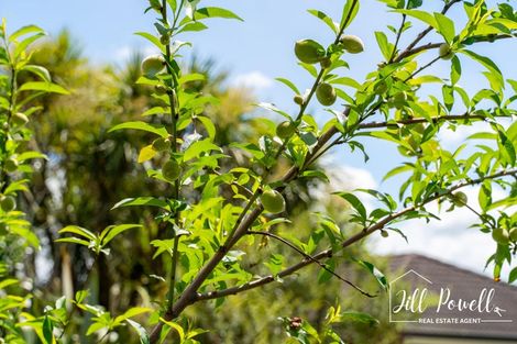 Photo of property in 93c Jumna Road, Maungaturoto, 0587