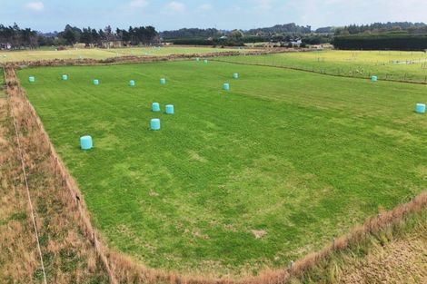 Photo of property in 35 Dairy Way, Seaward Bush, 9871