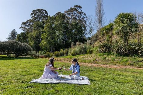 Photo of property in 45a Te Awa Lane, Tamahere, Hamilton, 3283