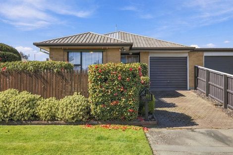Photo of property in 33a Shannon Place, Belfast, Christchurch, 8051