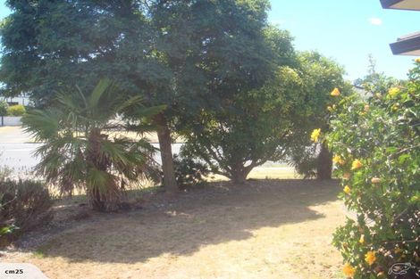 Photo of property in 238 Grenada Street, Mount Maunganui, 3116