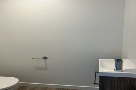 Photo of property in 209 Hastings Street East, Waltham, Christchurch, 8023