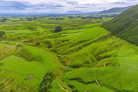 Photo of property in 157 Williams Road, Muriwai, Gisborne, 4072