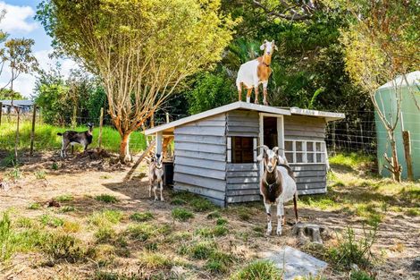 Photo of property in 60 Te Rongo Road, Parua Bay, Whangarei, 0174