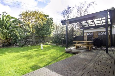 Photo of property in 12 Napier Road, Terrace End, Palmerston North, 4410