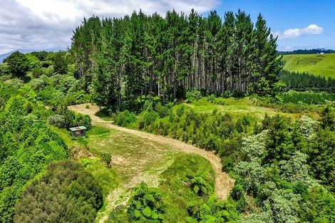 Photo of property in 325 Kaipi Road, Hillsborough, New Plymouth, 4372