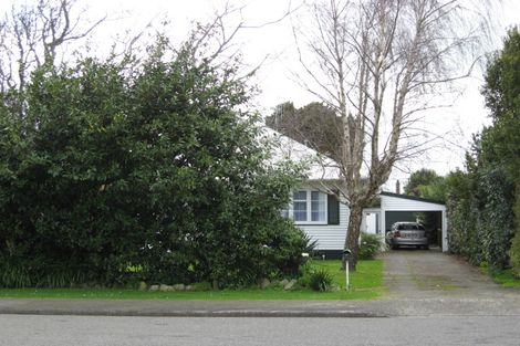 Photo of property in 7 Montgomery Street, Levin, 5510