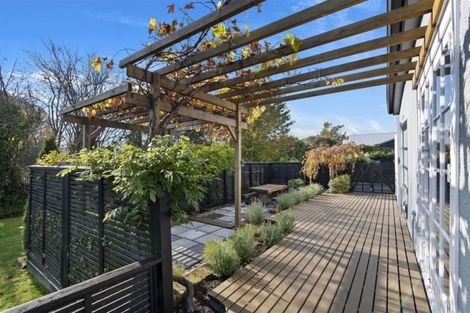 Photo of property in 50 Westminster Street, St Albans, Christchurch, 8014