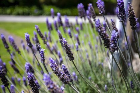 Photo of property in 19 Tainui Street, Raumati Beach, Paraparaumu, 5032